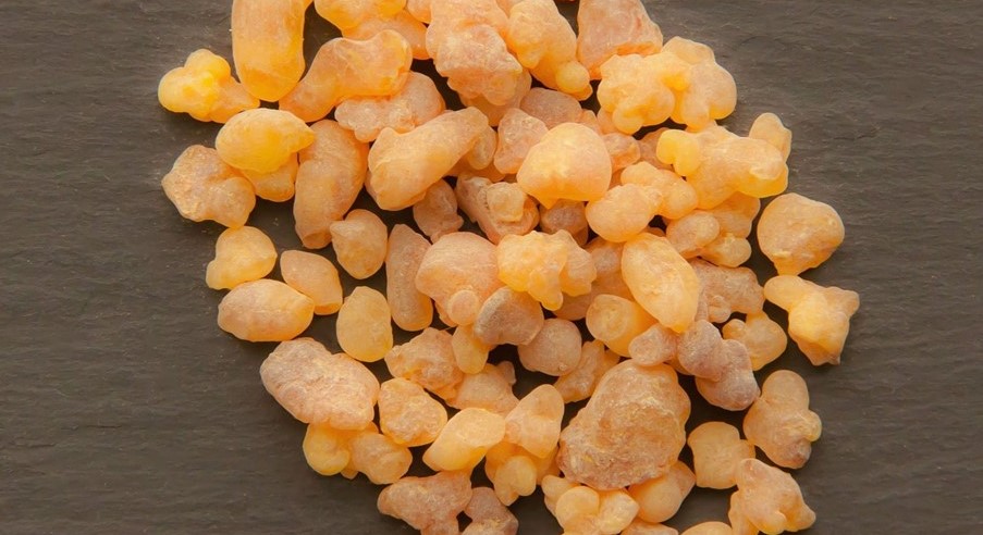 Frankincense Essential Oil