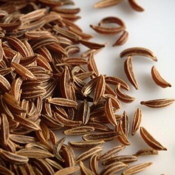 Caraway Seed Essential Oil