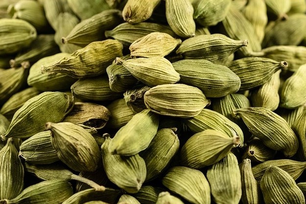 Cardamom Essential Oil