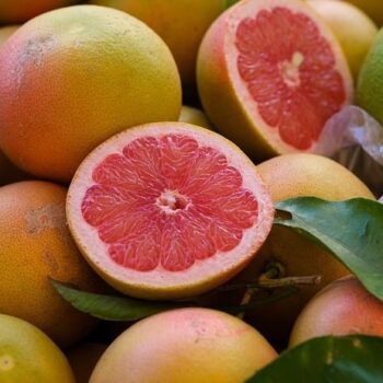 Grapefruit Essential Oil