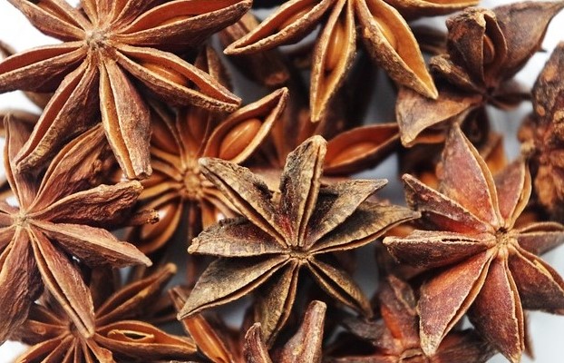 Star Anise Essential Oil