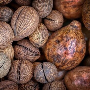 Nutmeg Essential Oil