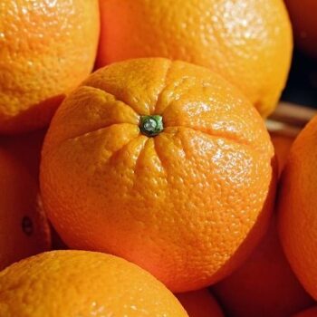 Sweet Orange Essential Oil