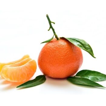 Tangerine Essential Oil